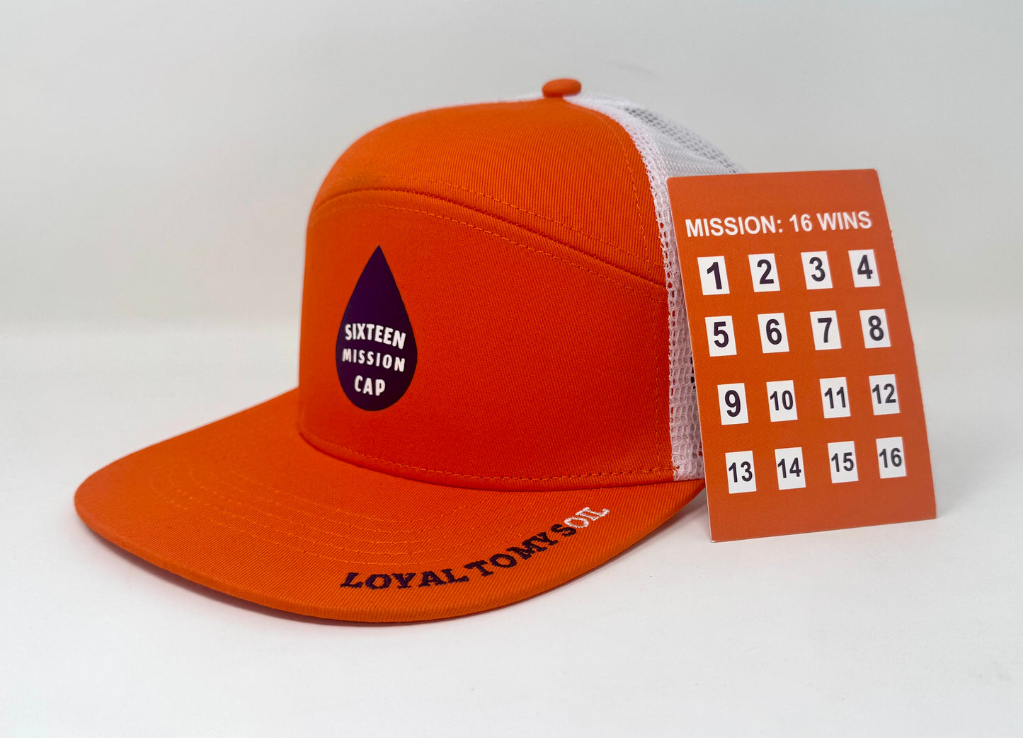 16 MISSION CAP