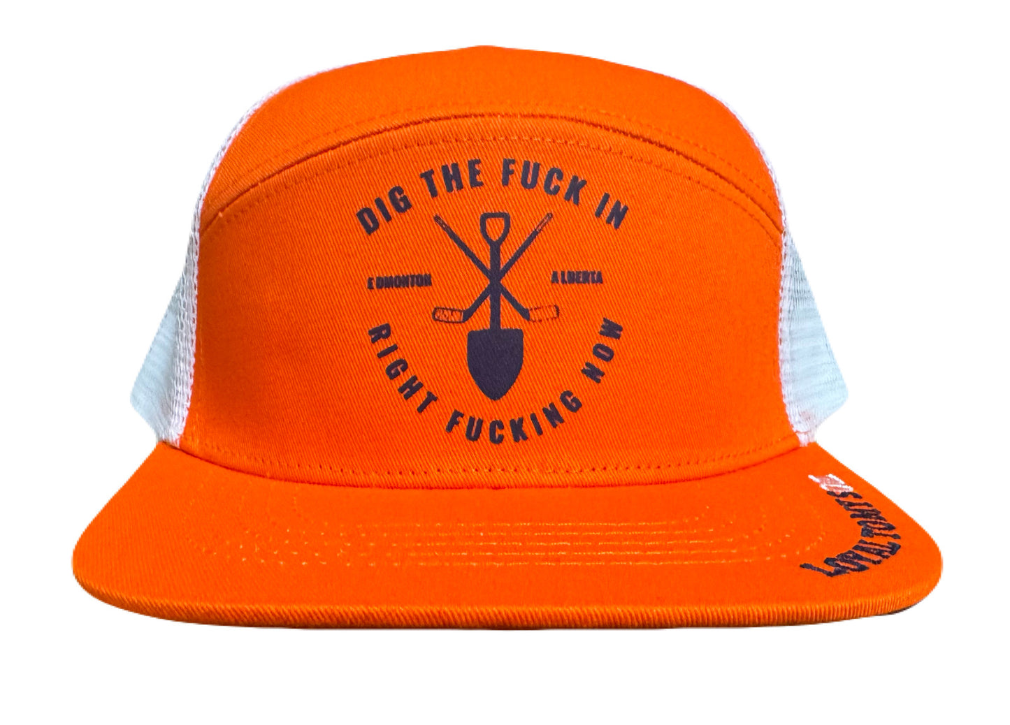 DIG IN CAP