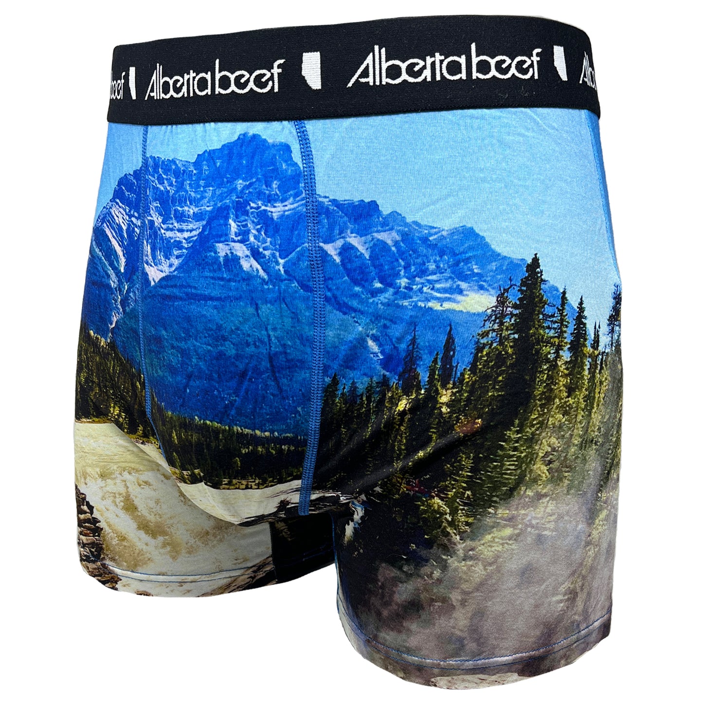 Alberta Beef Athabasca Falls