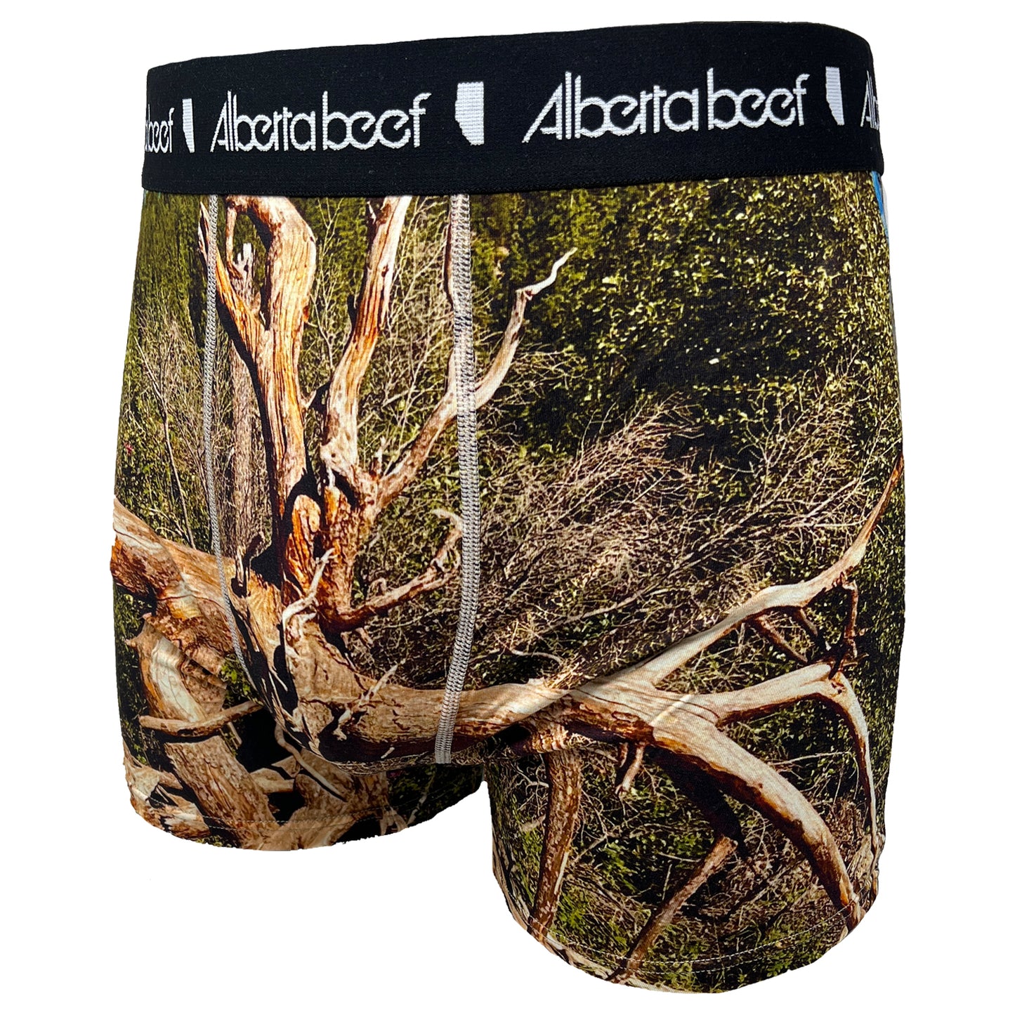 Alberta Beef Pyramid Island