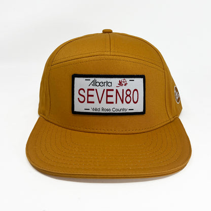 7 PANEL LICENSE PLATE HAT