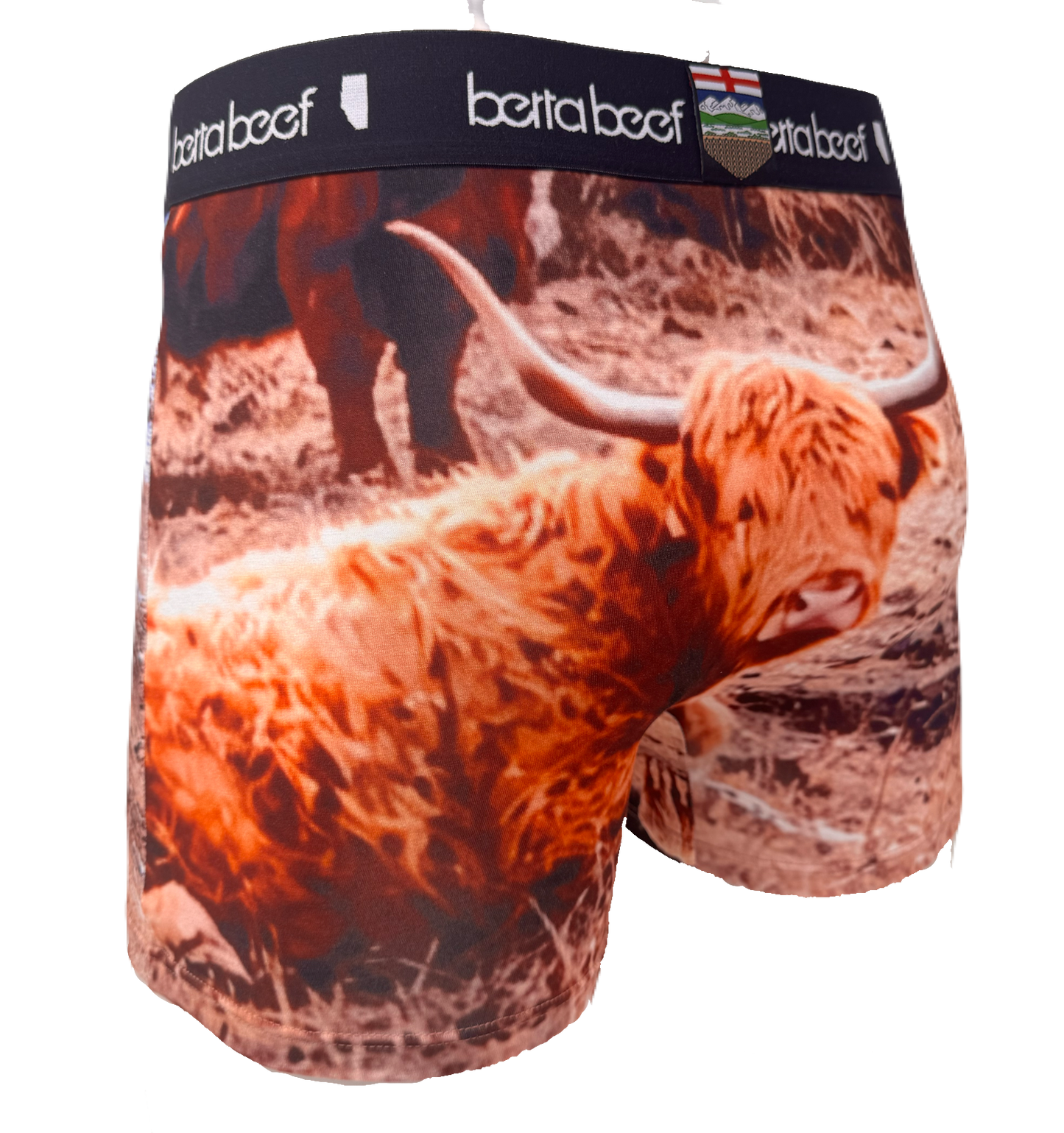 BERTA BEEF HARRY