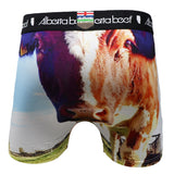Alberta Beef Daisy